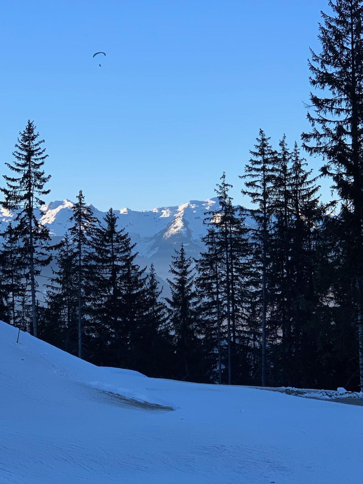 P2-3 Esprit Sur Les Pistes De Apartment